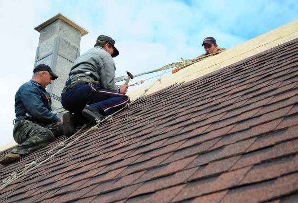 Best Metal Roofing Contractor  in West Loch Estate, HI